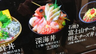 深海に住むサメ18種類を解説 ラブカやミツクリザメ以外にも Aqua Picks